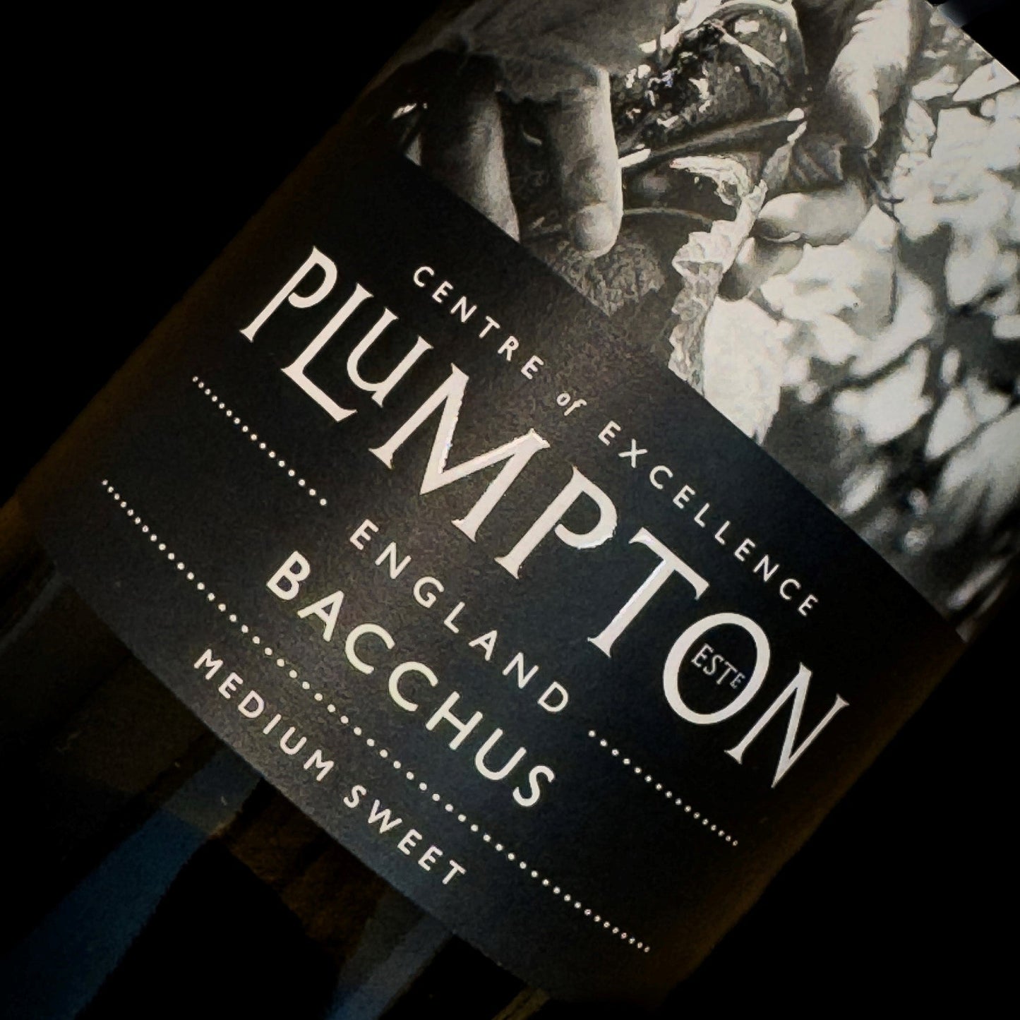 Plumpton Estate Bacchus