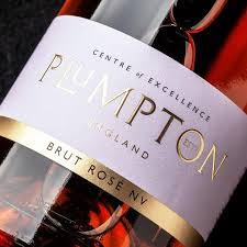 Plumpton Estate Brut Rosé NV